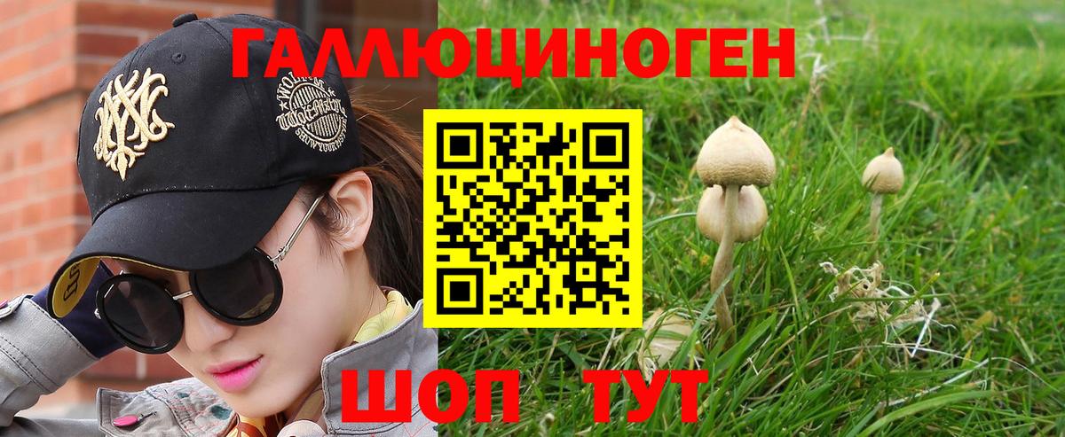 Камень-на-Оби  Псилоцибиновые грибы мицелий  Вход с VPN 
